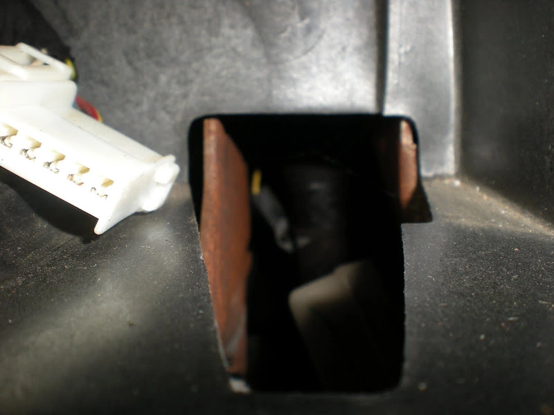 DSCN3380.webp