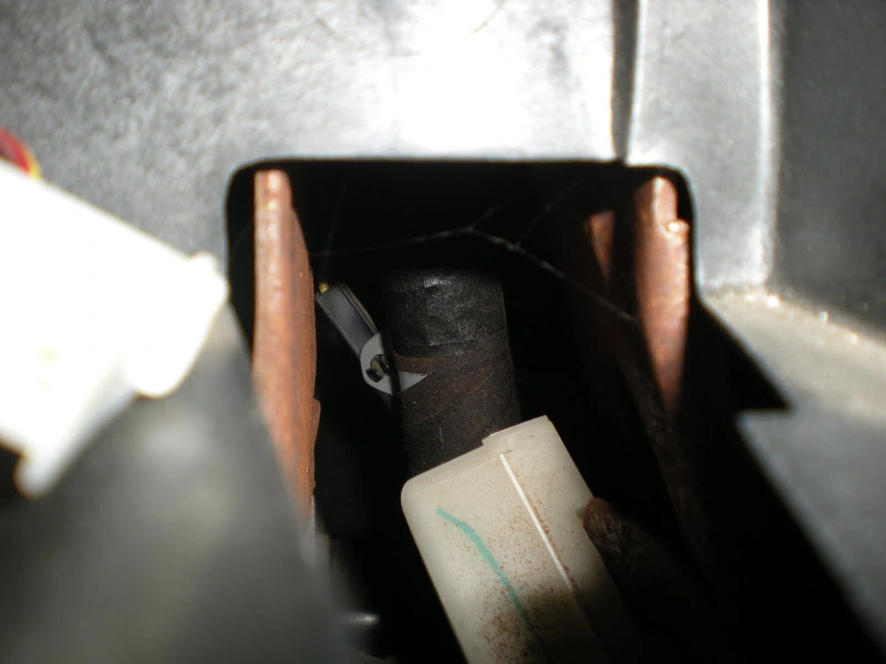 DSCN3382.webp