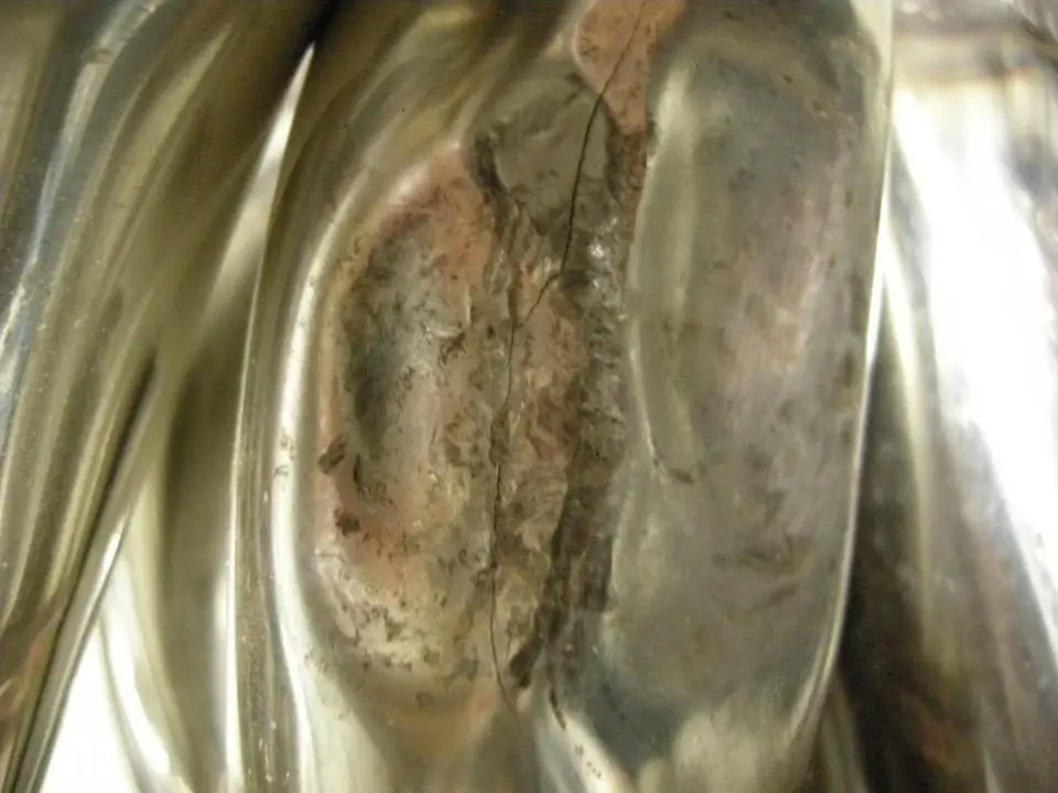 DSCN3406.webp