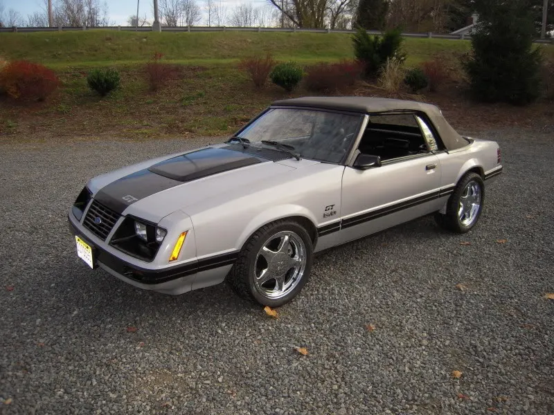 DSCN3441.webp
