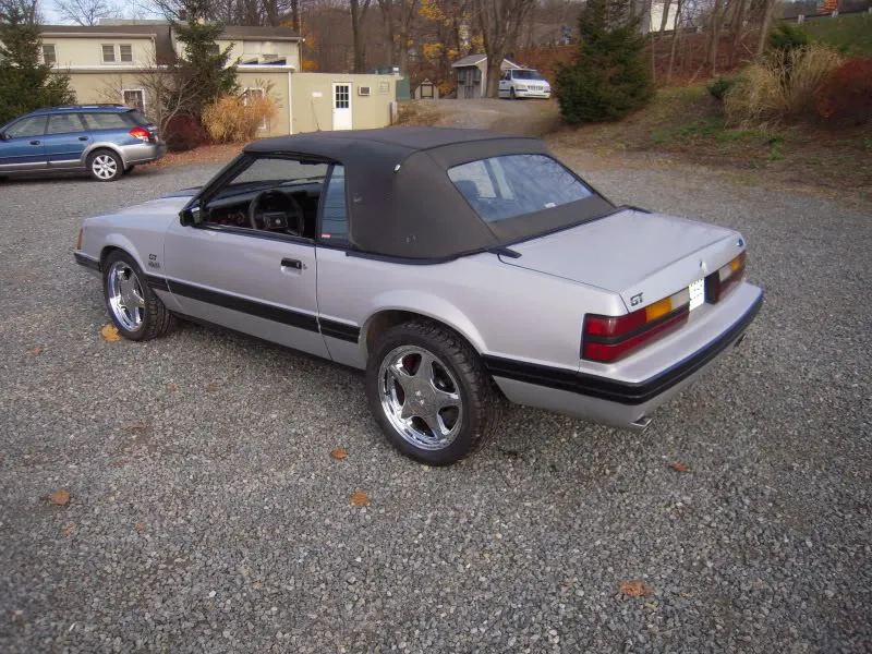 DSCN3443.webp