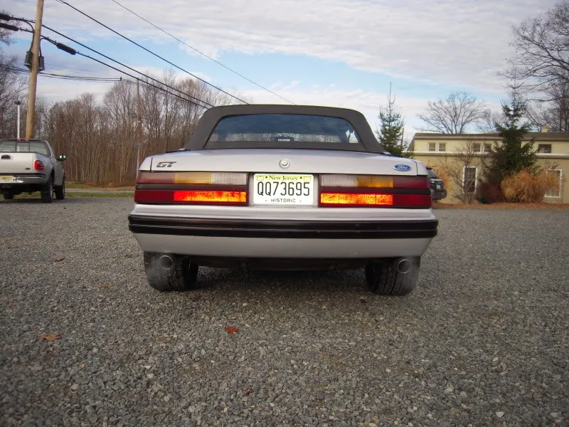 DSCN3444.webp
