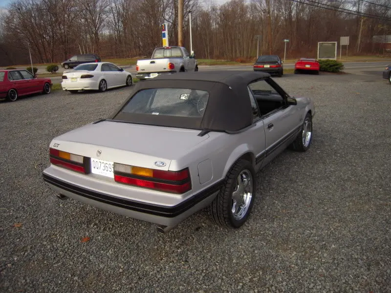 DSCN3445.webp