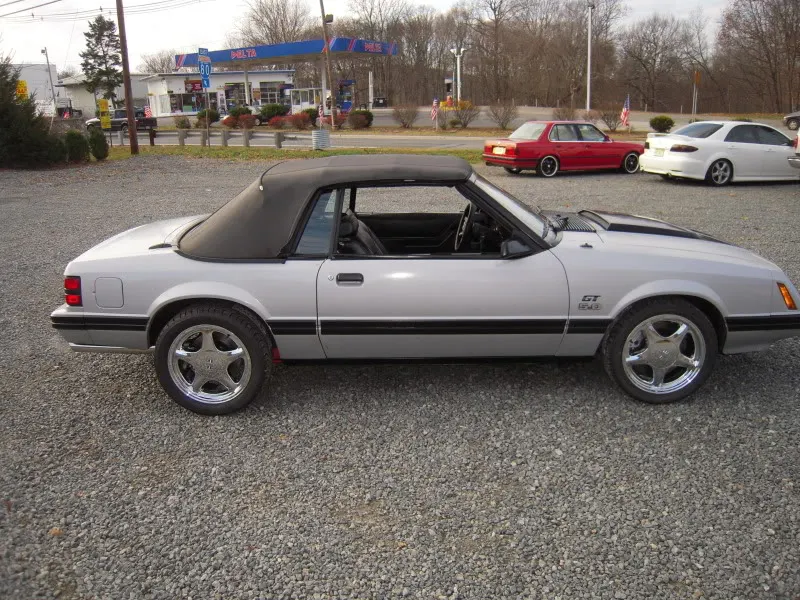 DSCN3446.webp