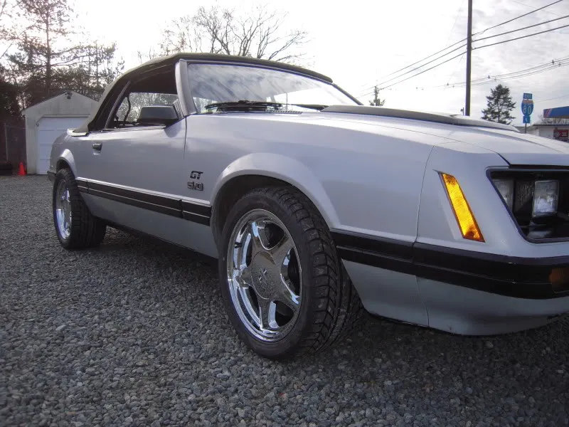 DSCN3447.webp