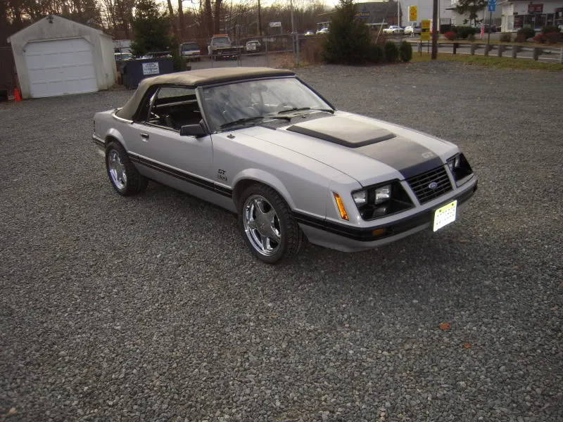 DSCN3448.webp