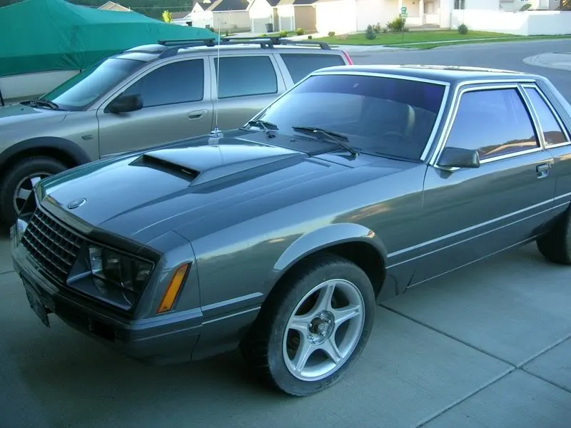 DSCN3474.webp