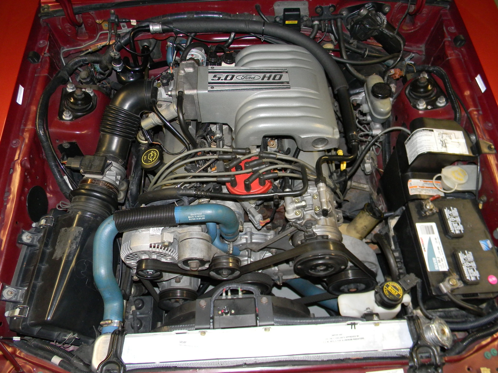 DSCN3608.webp