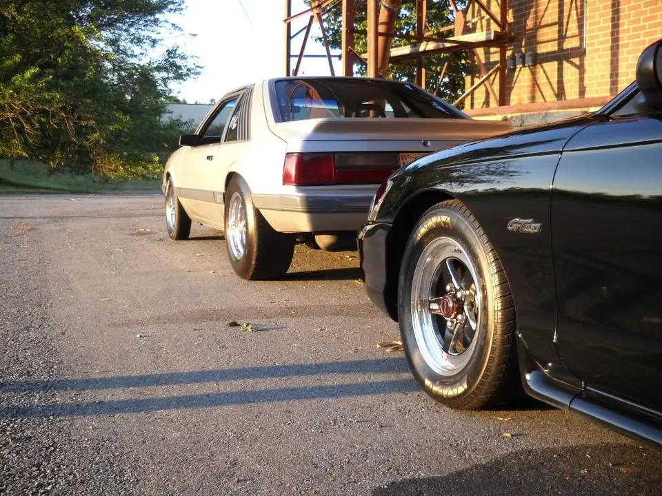 DSCN3661.webp