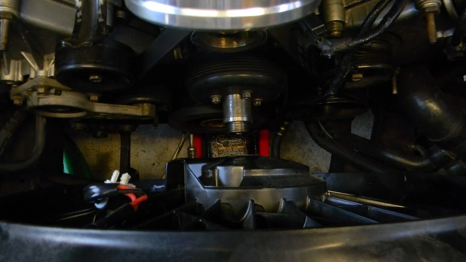 DSCN3678.webp