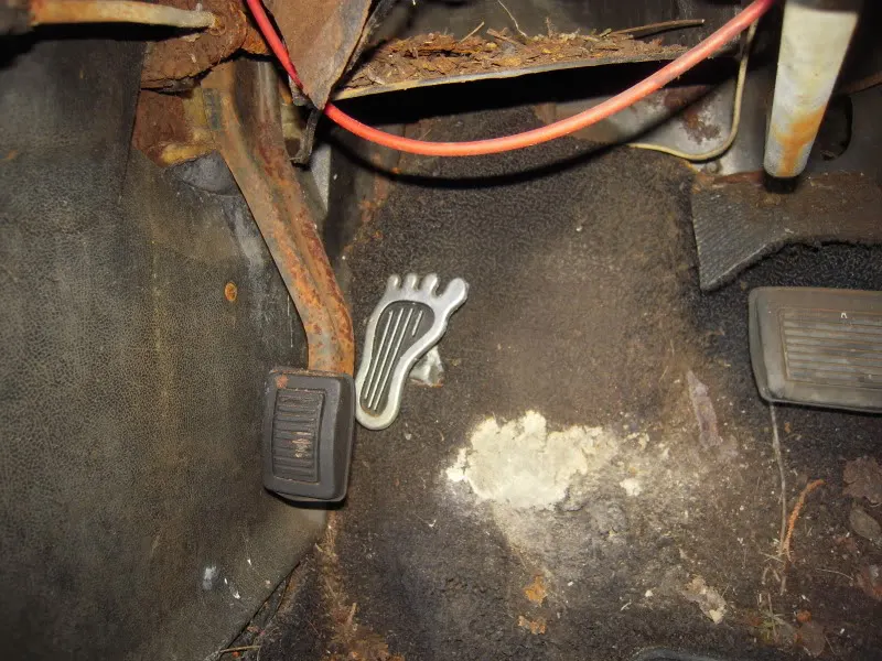 DSCN3769.webp