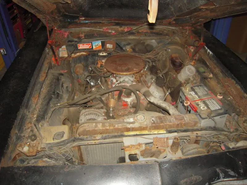 DSCN3771.webp