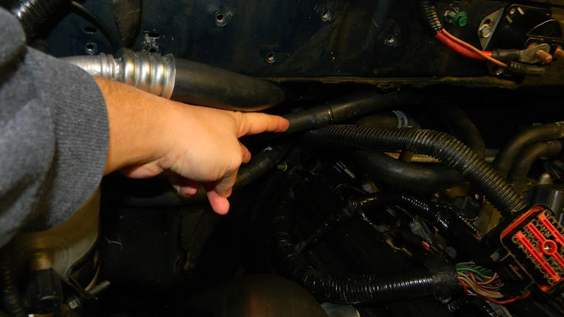 DSCN3854.webp