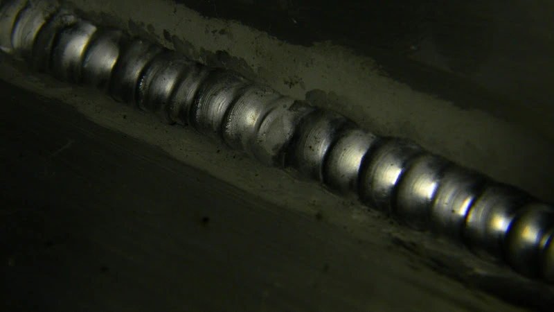 DSCN3860.webp