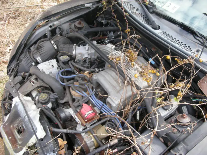 DSCN3917.webp
