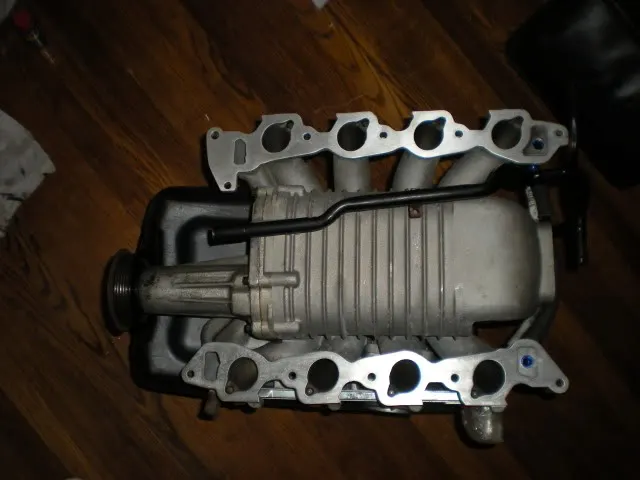DSCN3918.webp