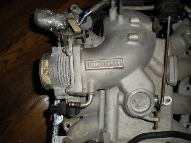 DSCN3920.webp
