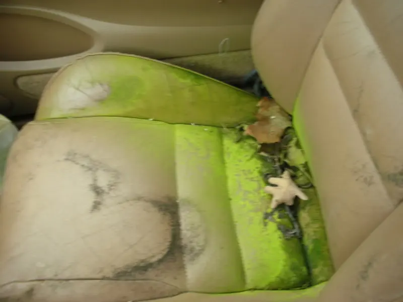 DSCN3923.webp
