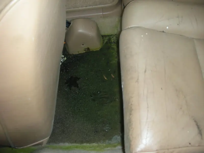 DSCN3924.webp