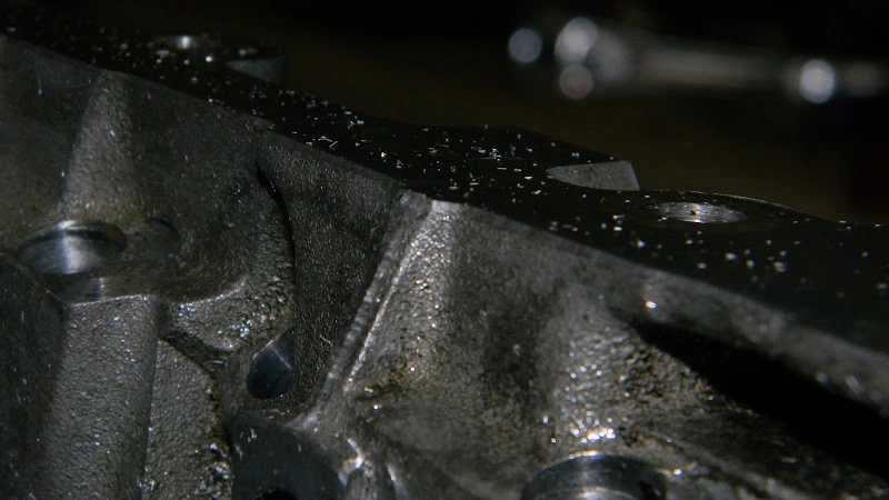 DSCN3947.webp