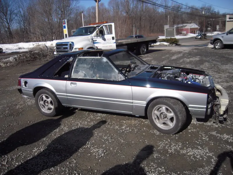 DSCN4091.webp