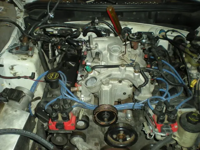 DSCN4094.webp