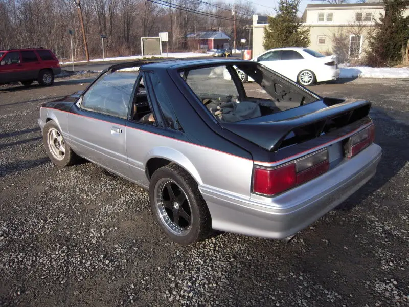 DSCN4102.webp