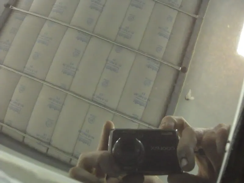 DSCN4180.webp