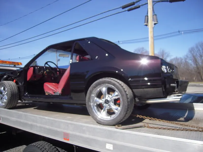 DSCN4195.webp