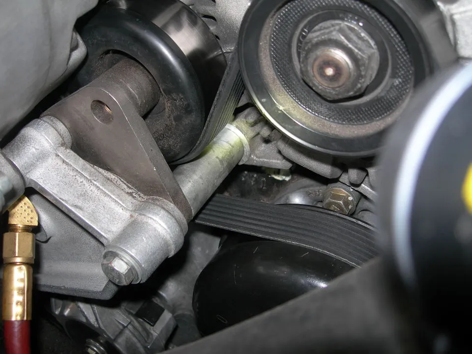 DSCN4209.webp