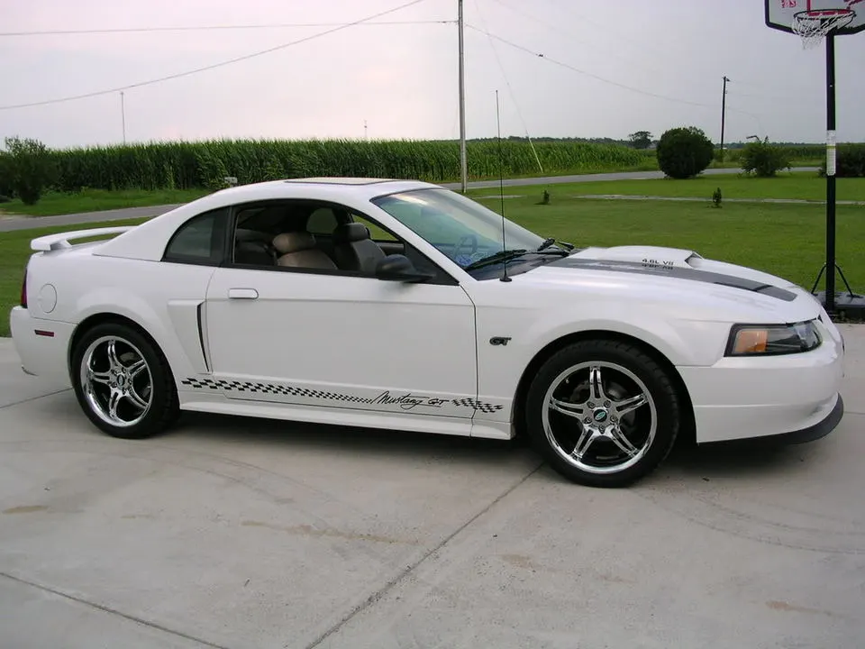 DSCN4242.webp
