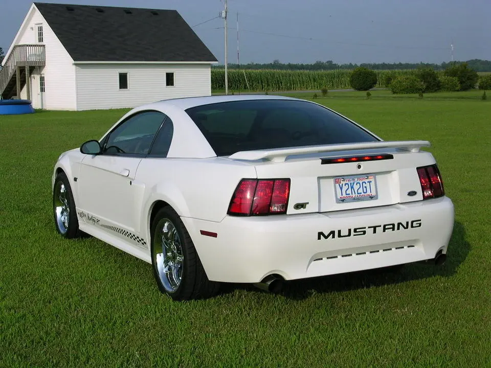 DSCN4255.webp