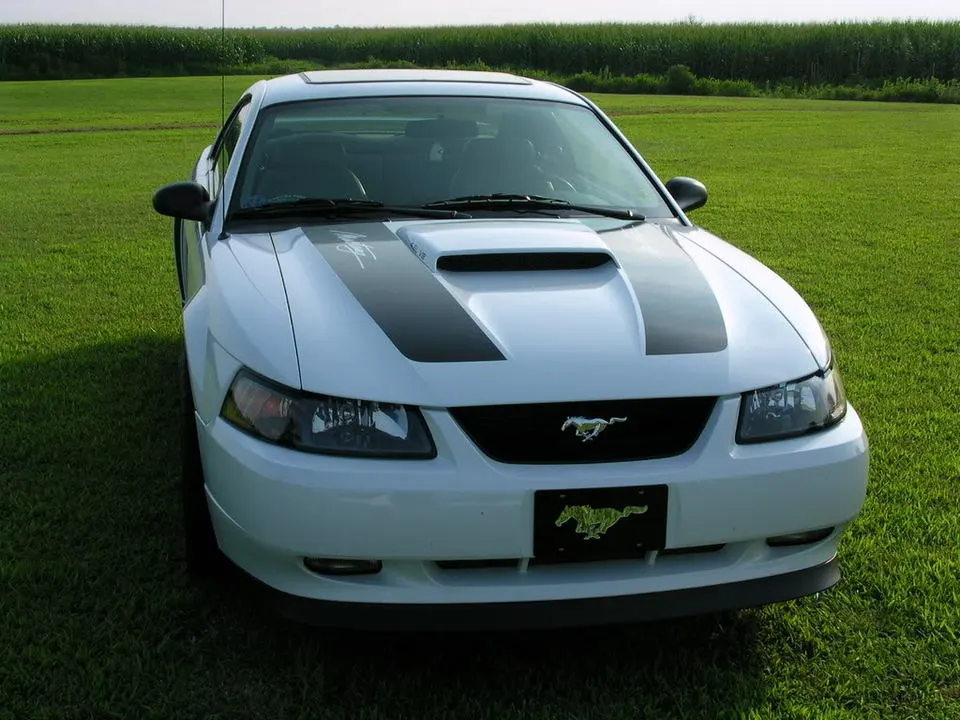 DSCN4262.webp