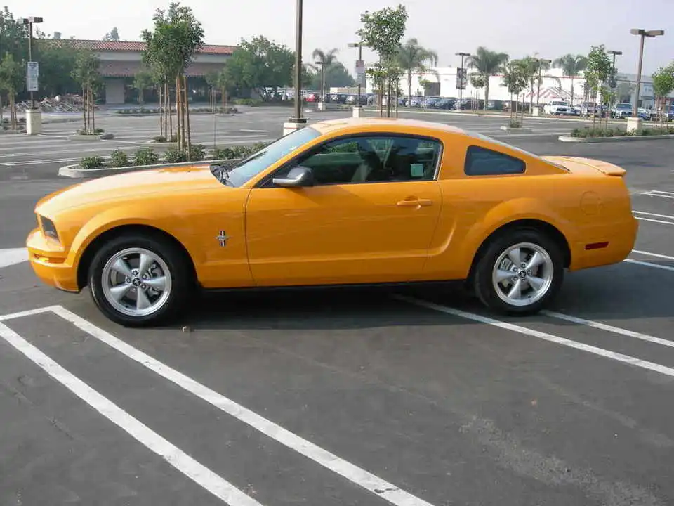 DSCN4265.webp