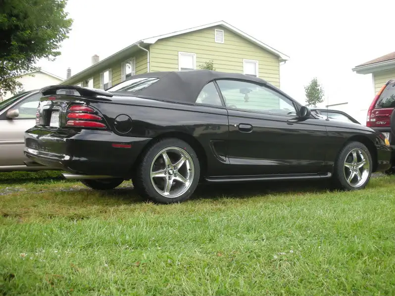 DSCN4266.webp