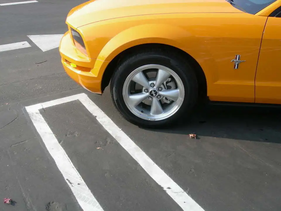 DSCN4266.webp
