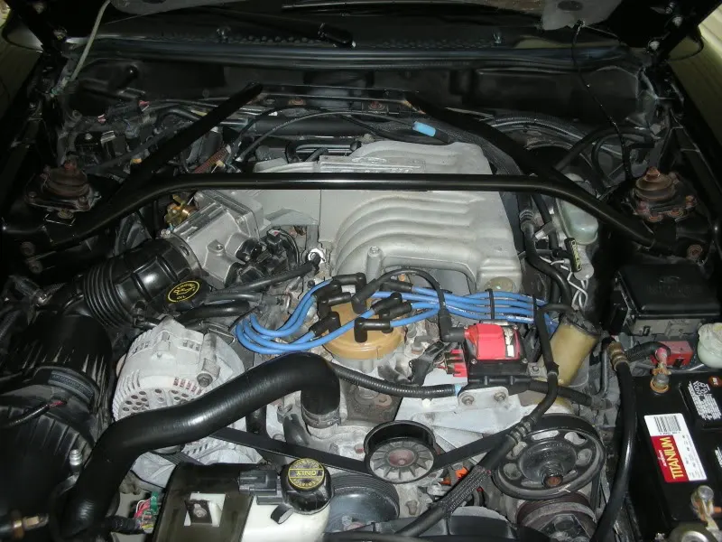 DSCN4268.webp