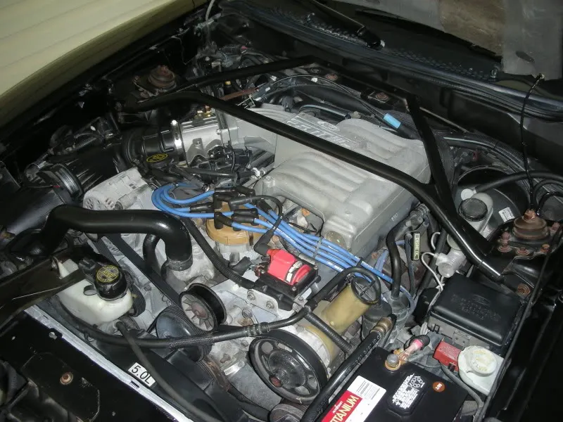 DSCN4269.webp