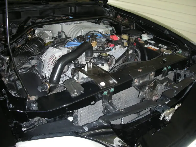 DSCN4271.webp