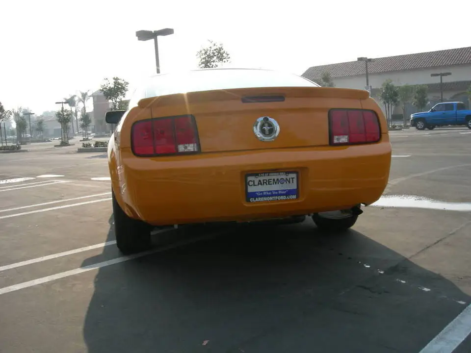 DSCN4271.webp