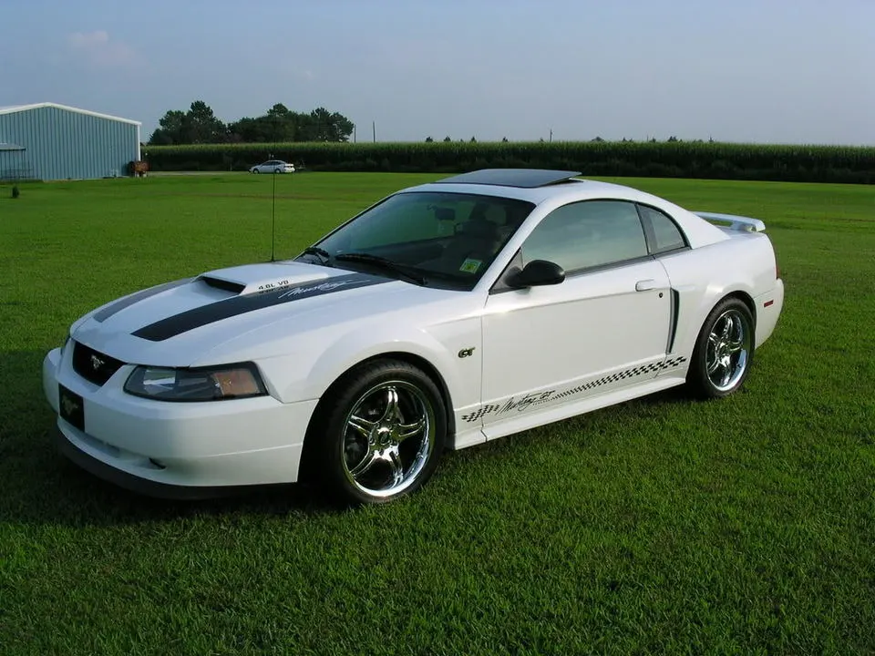 DSCN4276.webp