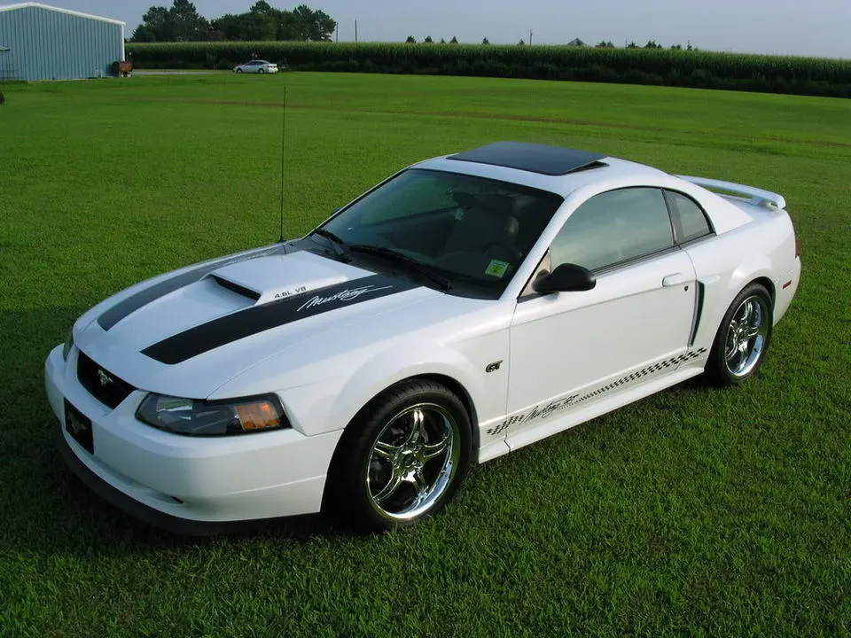 DSCN4277.webp