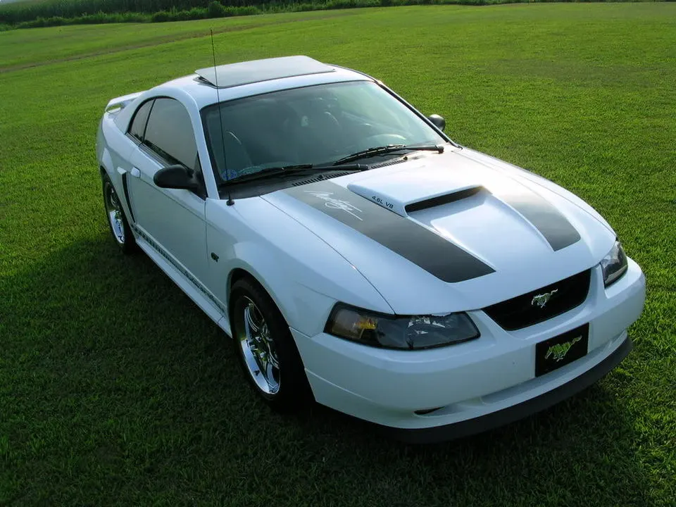 DSCN4278.webp