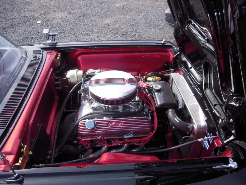DSCN4283.webp