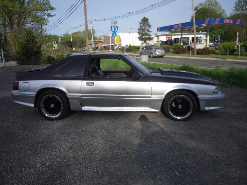 DSCN4354.webp