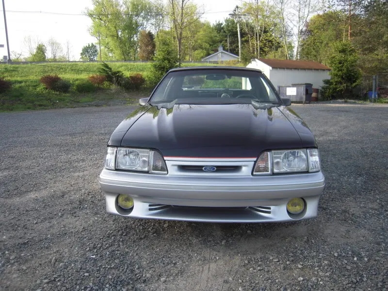 DSCN4359.webp