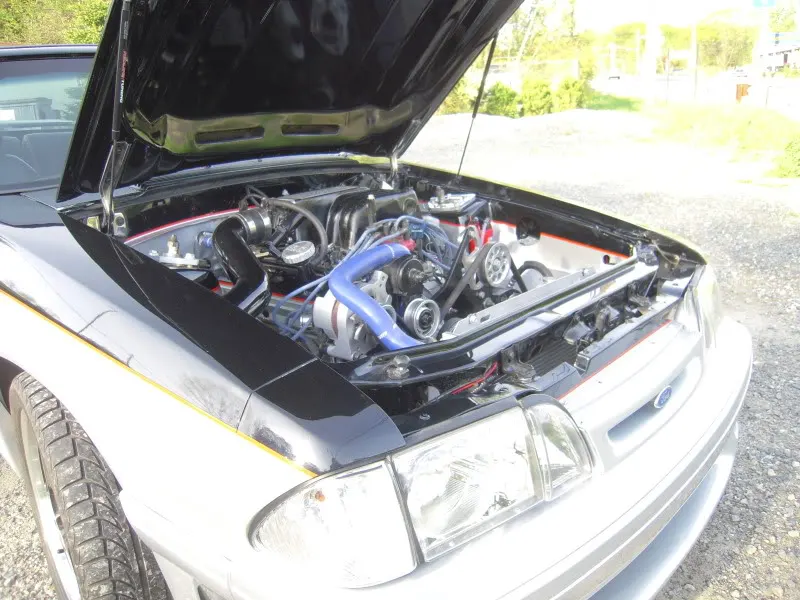 DSCN4363.webp