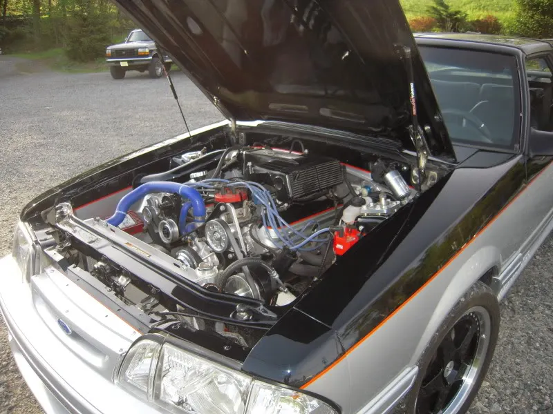 DSCN4364.webp