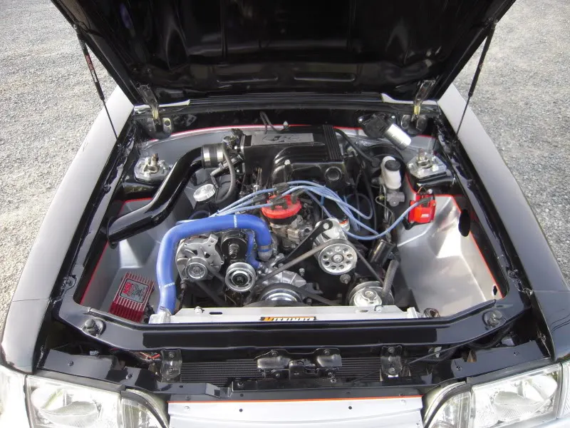 DSCN4365.webp