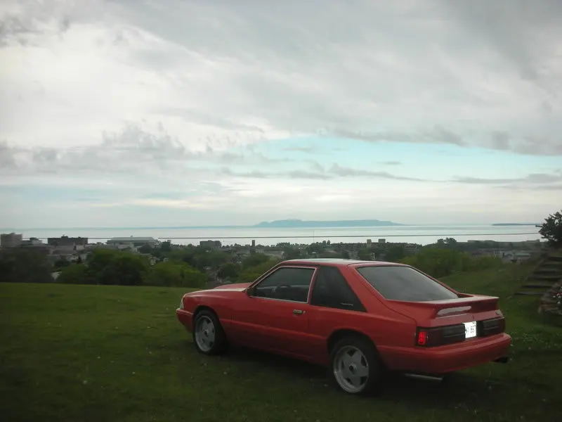 DSCN4403.webp